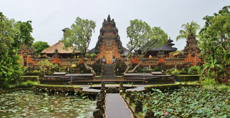 KIITEs Differences 17 ubud-277349_1920