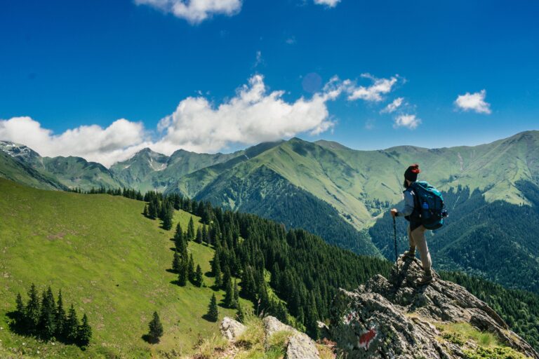 Personalised Travel 27 pexels-andrei-tanase-1271619