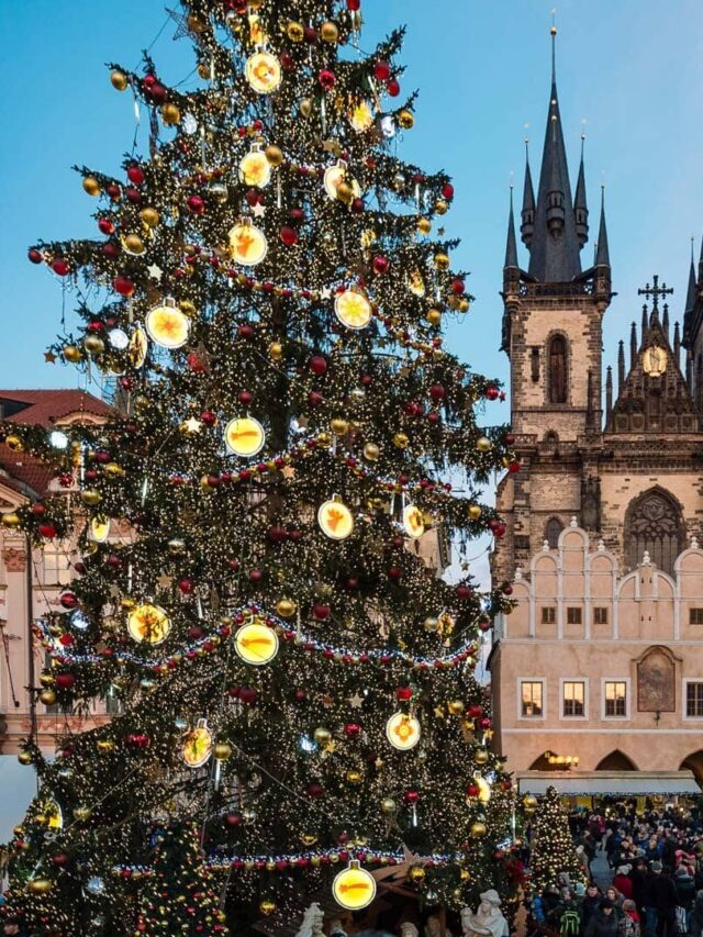 Best Places to Go for Christmas